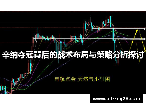 辛纳夺冠背后的战术布局与策略分析探讨