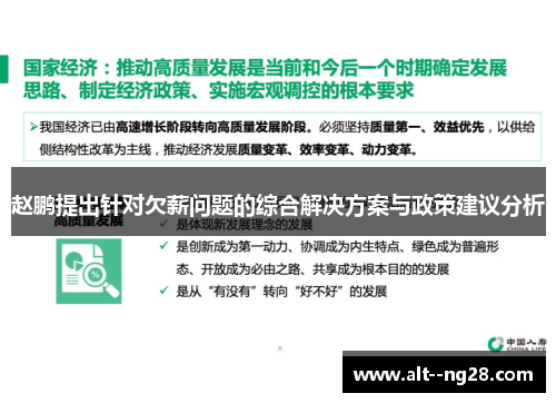 赵鹏提出针对欠薪问题的综合解决方案与政策建议分析 赵鹏提出针对欠薪问题的综合解决方案与政策建议分析