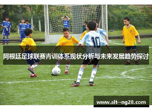 阿根廷足球联赛青训体系现状分析与未来发展趋势探讨
